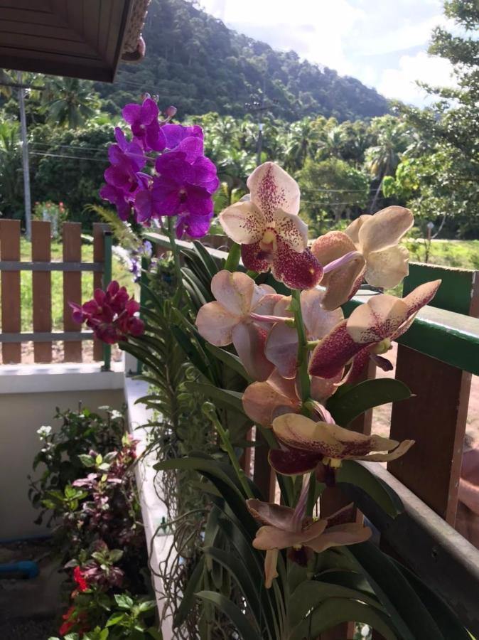 Orchid Pool -Villa 4 Bedrooms Koh Lanta Bagian luar foto